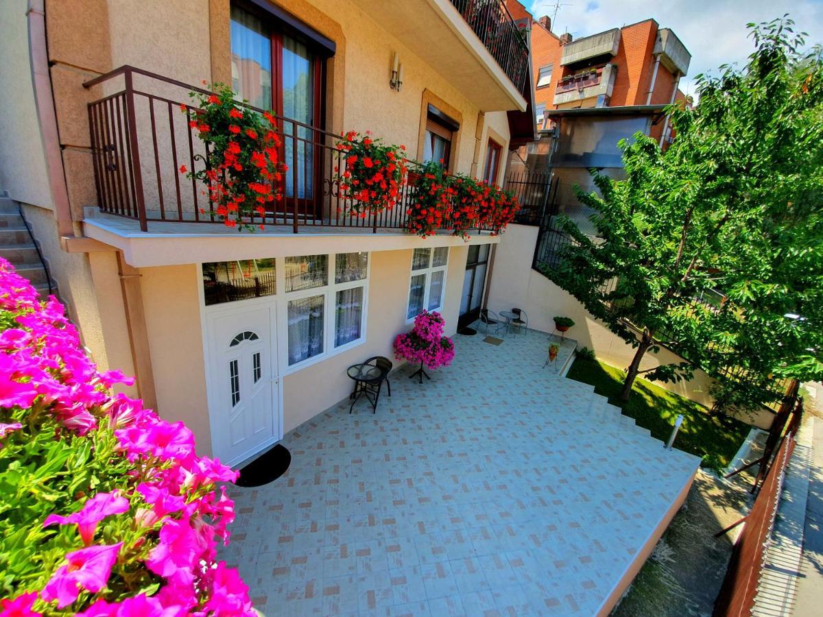 Nilena Apartmani スメデレヴォ エクステリア 写真